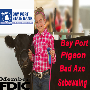 Bay Port State Bank Network Ad